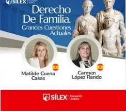 DERECHO DE FAMILIA. GRANDES CUESTIONES ACTUALES